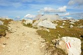 140 Sullo sfondo il Sasso Piatto e Sasso Lungo